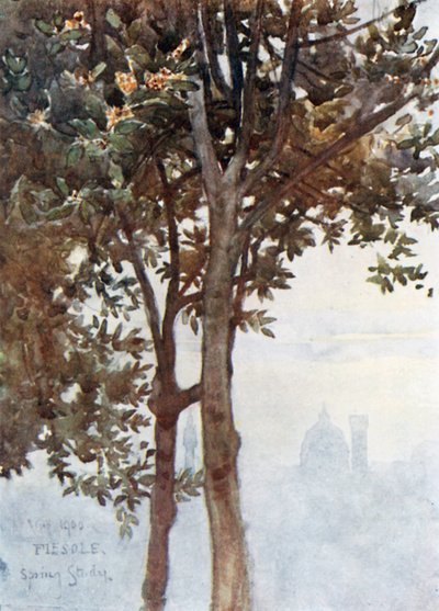 A Misty Effect of the Towers of Florence by Robert Charles Goff