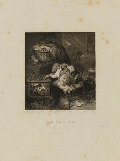 The Cat