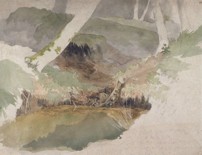 Forest Pool by Robert Hills