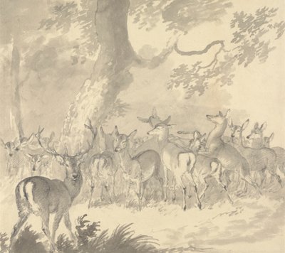 Study of a Deer: Stag in Foreground with a Group of Does and Fawns Under a Tree by Robert Hills