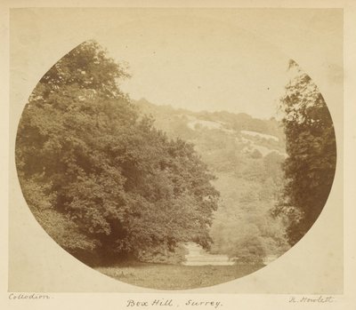 Box Hill, Surrey by Robert Howlett