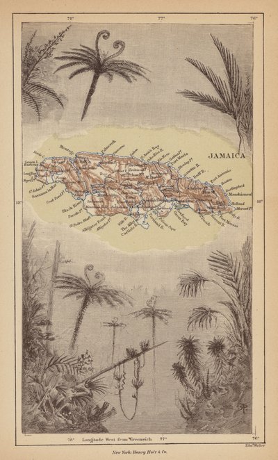 Jamaica by Robert Pritchett