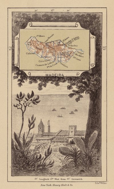 Madeira by Robert Pritchett
