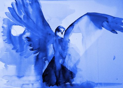 Blue Dove Flight by RodMacIver
