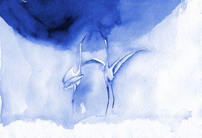 Elegant Blue Cranes by RodMacIver