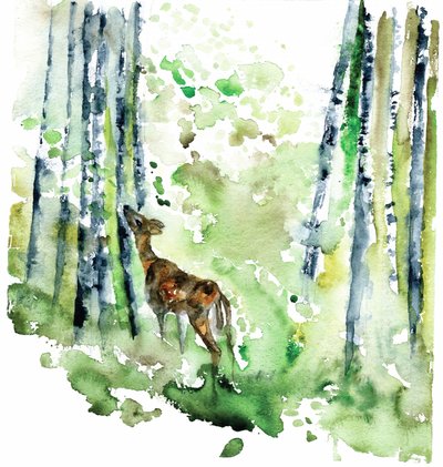 Forest Fawn by RodMacIver