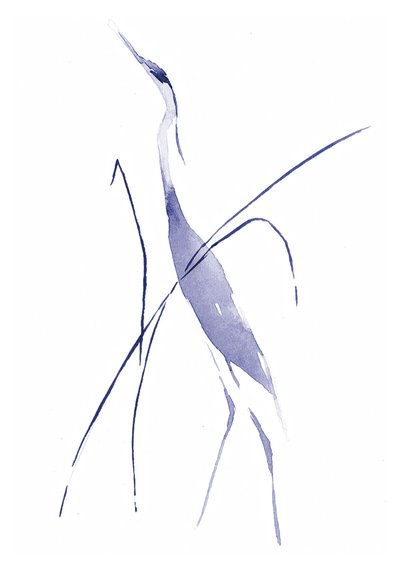 Graceful Blue Heron by RodMacIver