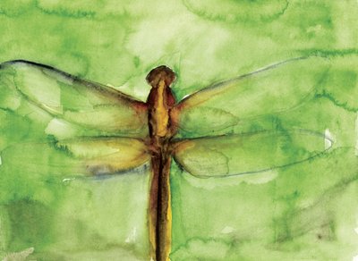Green Dragonfly Watercolor by RodMacIver