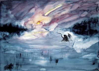 Heron Flying Comet Sky by RodMacIver