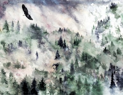 Misty Mountain Eagle by RodMacIver