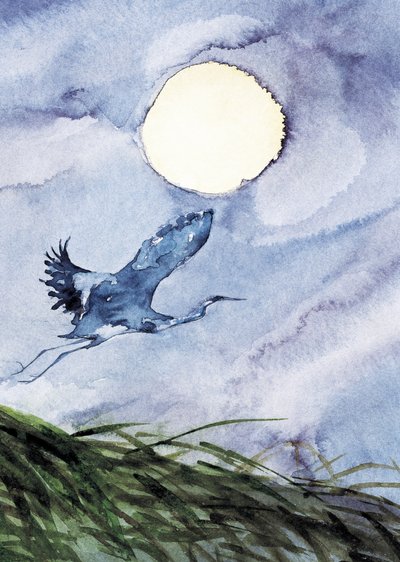 Moonlit Heron Flight by RodMacIver