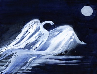 Moonlit Swan by RodMacIver