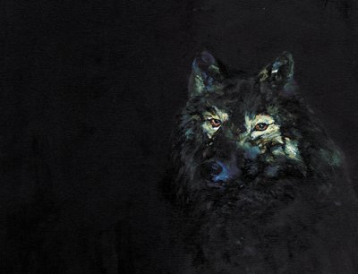 Mysterious Black Wolf by RodMacIver