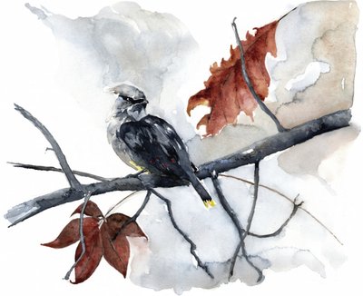 Peaceful Autumn Bird by RodMacIver