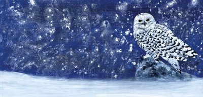 Snowy Evening by RodMacIver