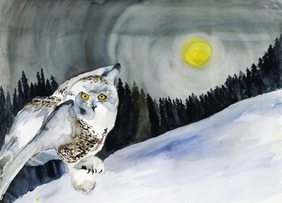 Snowy Owl Winter Moon by RodMacIver