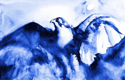 Soaring Blue Falcon by RodMacIver