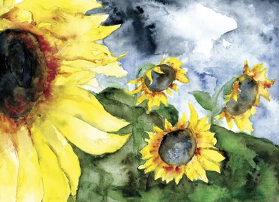 Sunflowers Under Stormy Sky by RodMacIver