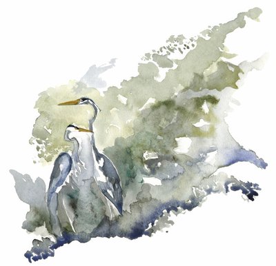Two Herons at Tranquil Pond by RodMacIver