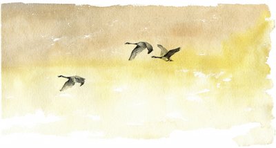 Watercolor Geese Flight by RodMacIver