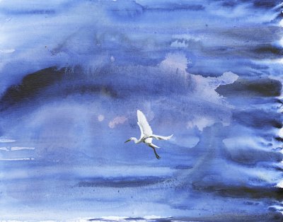 White Egret Blue Sky by RodMacIver