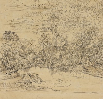 Bank of a Pond by Rodolphe Bresdin