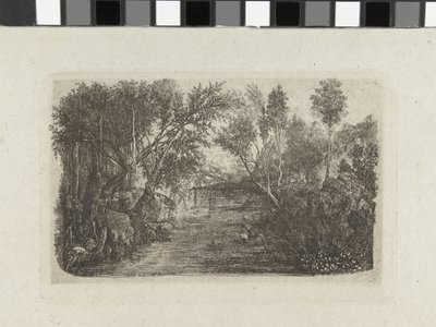 Landscape with Stream and Trees on Banks by Rodolphe Bresdin