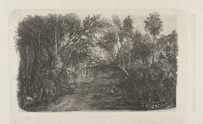 Landscape with Stream and Trees on Banks by Rodolphe Bresdin