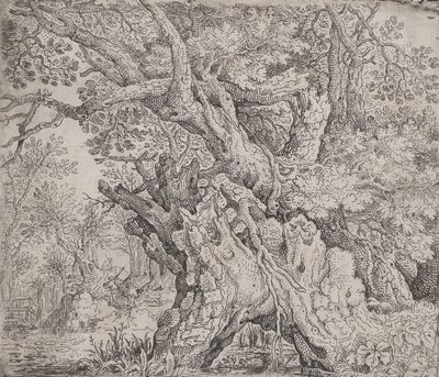 Gnarled Tree by Roelandt Savery