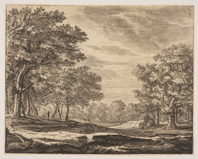 Plate 5 from Six Views in the Wood of The Hague by Roelant Roghman