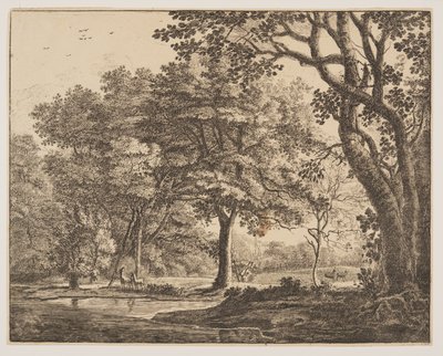 Plate 6, from Six Views in the Wood of The Hague by Roelant Roghman