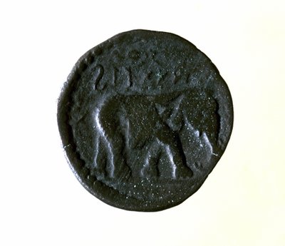Carthage coin representing an elephant. 3rd or 2nd century BC. by Roman
