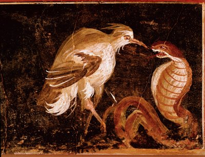 Fight Between a Heron and a Cobra, Roman Fresco from the House of the Epigrams, Pompeii, Italy by Roman