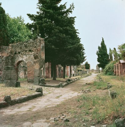 The Graves Way and the Herculaneum Gate by Roman
