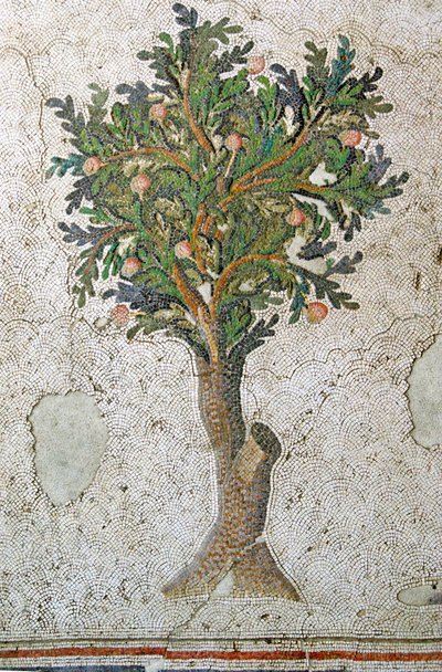 Unknown Image by Roman
