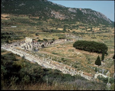 View of the street of Curetes towards the library of Celsus by Roman