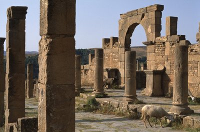 Cardo and entry of Cosinius Market, High Imperial Period by Roman Imperial Period