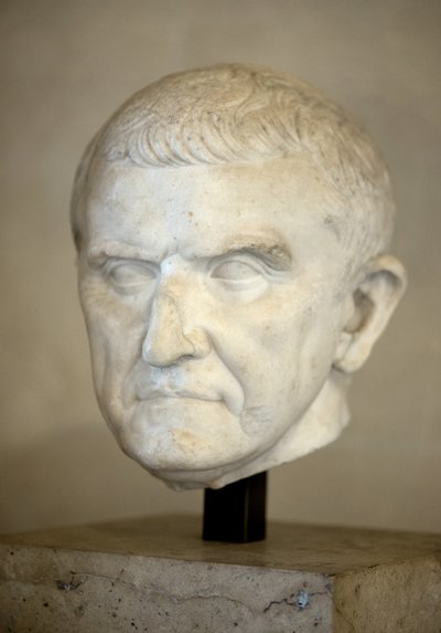 Fragment of a Statue, Portrait of an Unknown by Roman Roman