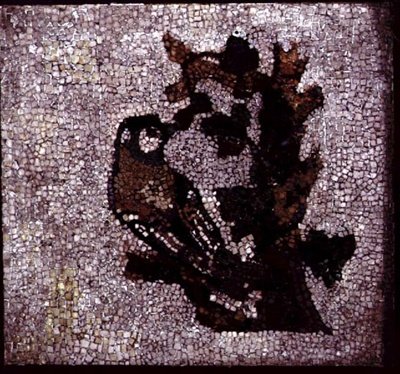 Bird in a Tree by Roman Roman