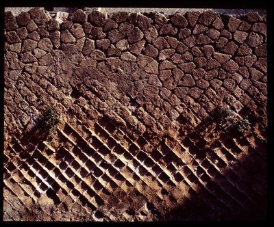 Detail of Roman Constructions by Roman Roman
