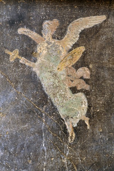 Fresco with Winged Figure, Right Wing in House of Vettii, Pompeii by Roman Roman