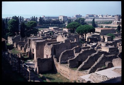 Panoramic view of the archeological site, 5th century BC-1st century AD by Roman Roman