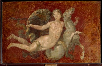 A Woman Riding a Sea Horse by Roman Roman