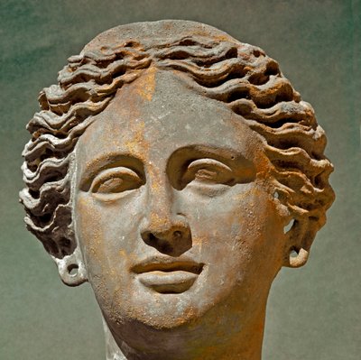 Portrait of a Woman by Roman Roman