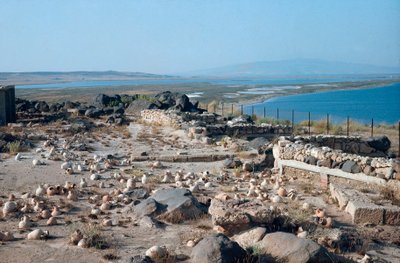 Site view of the city of Tharros, ancient Punico-Roman port, founded by the Phoenicians in Sardinia, Italy by Roman Roman