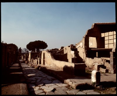 View of Decumanus Maximus by Roman Roman