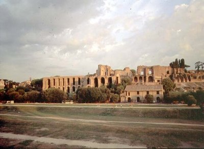 View of the Palatine from the Circus Maximus by Roman Roman