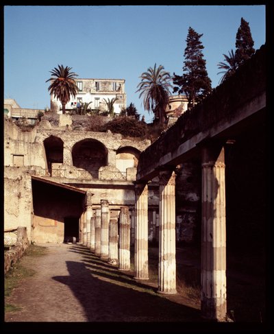View of the Palestra by Roman Roman