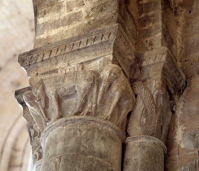Elephants (carved capital of the nave) by Romanesque