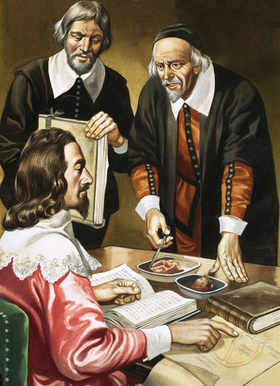 Charles I and William Harvey discussing the heart by Ron Embleton